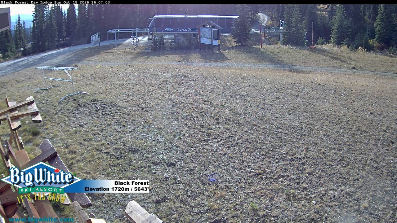 Black Forest still, 0″ new snow in 24 h