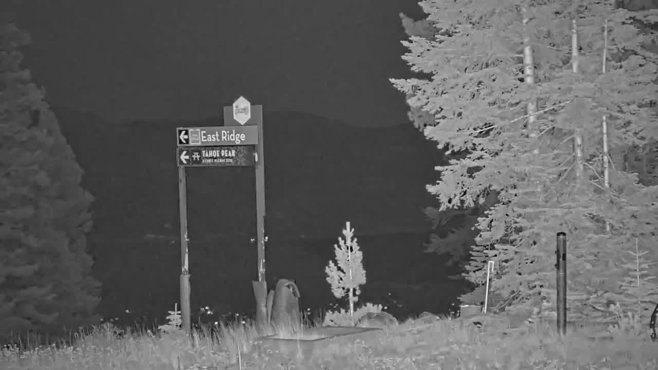 Summit still, 0″ new snow in 24 h