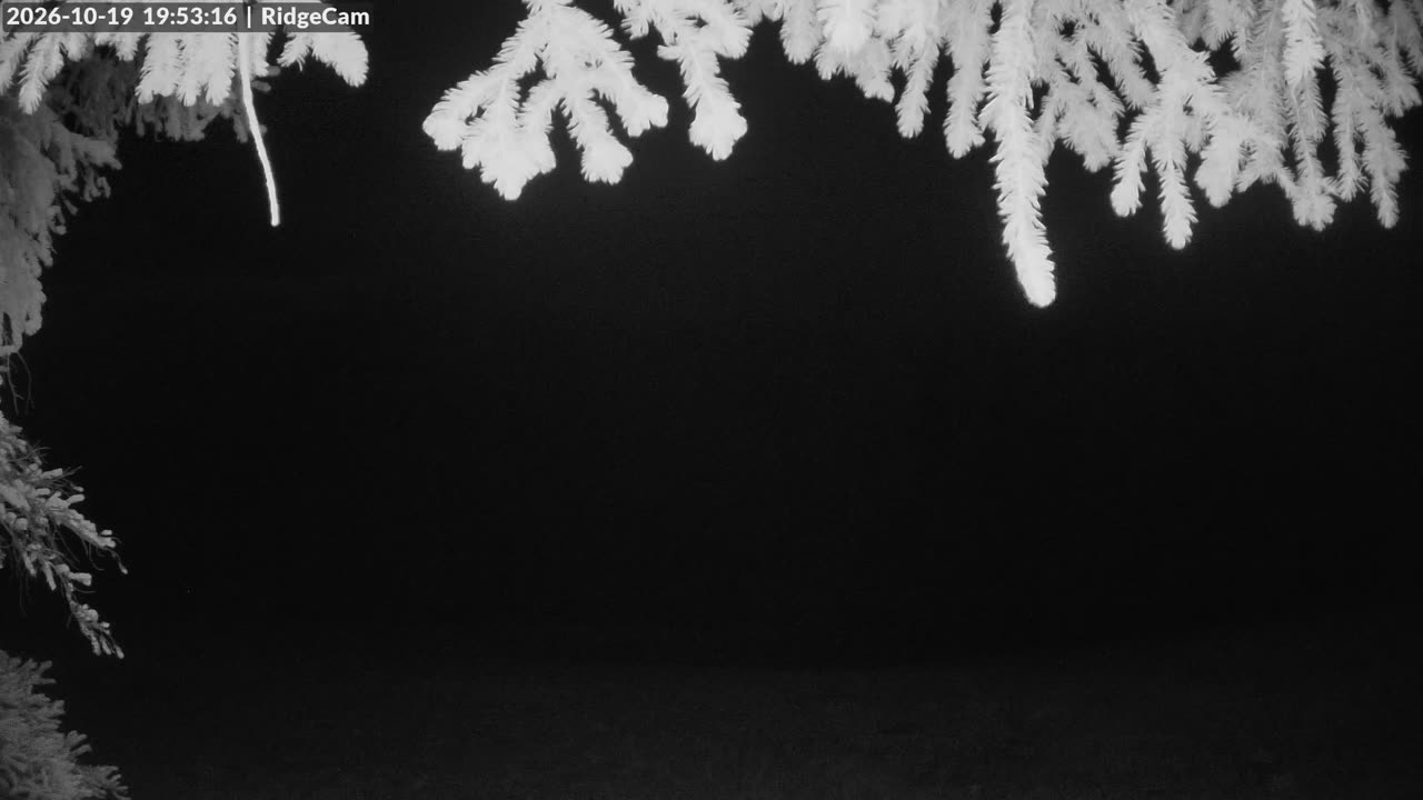 Ridgeview still, 0″ new snow in 24 h