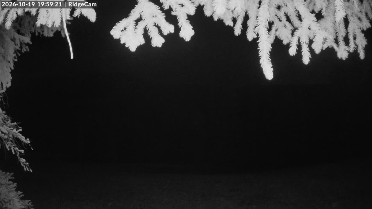 Ridgeview still, 0″ new snow in 24 h