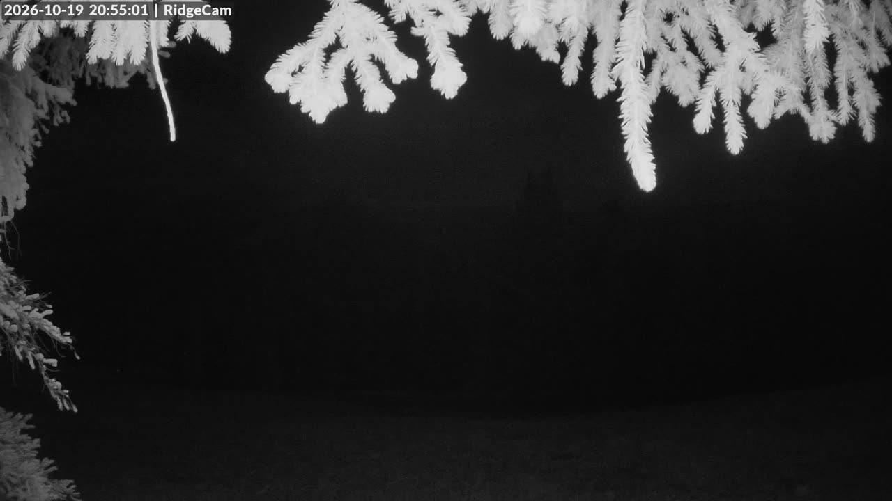Ridgeview still, 0″ new snow in 24 h