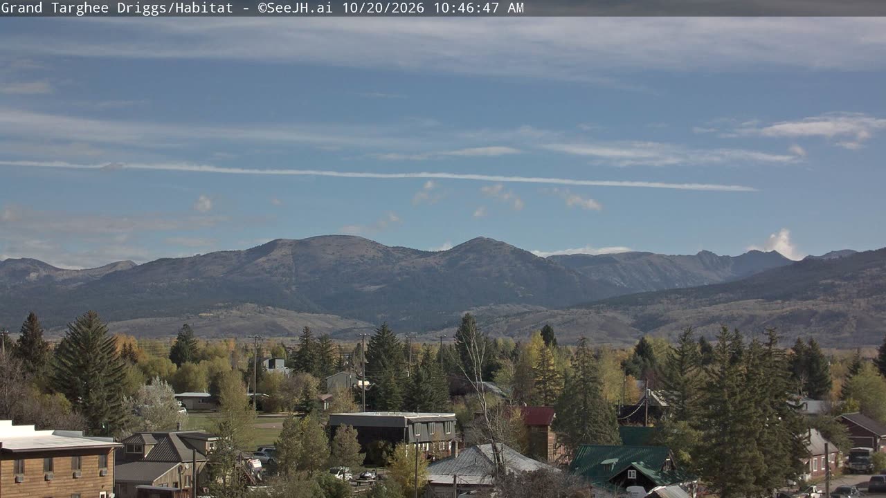Habitat / Colter still, 0″ new snow in 24 h