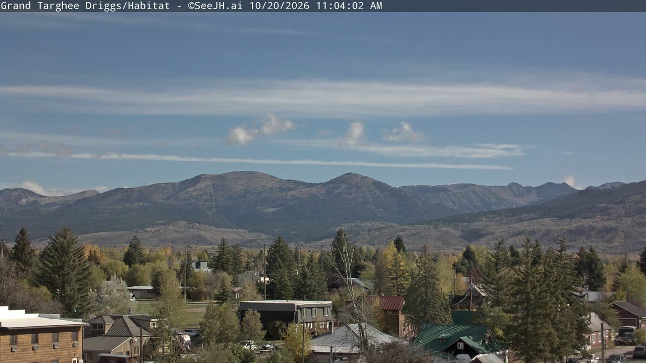 Habitat / Colter still, 0″ new snow in 24 h