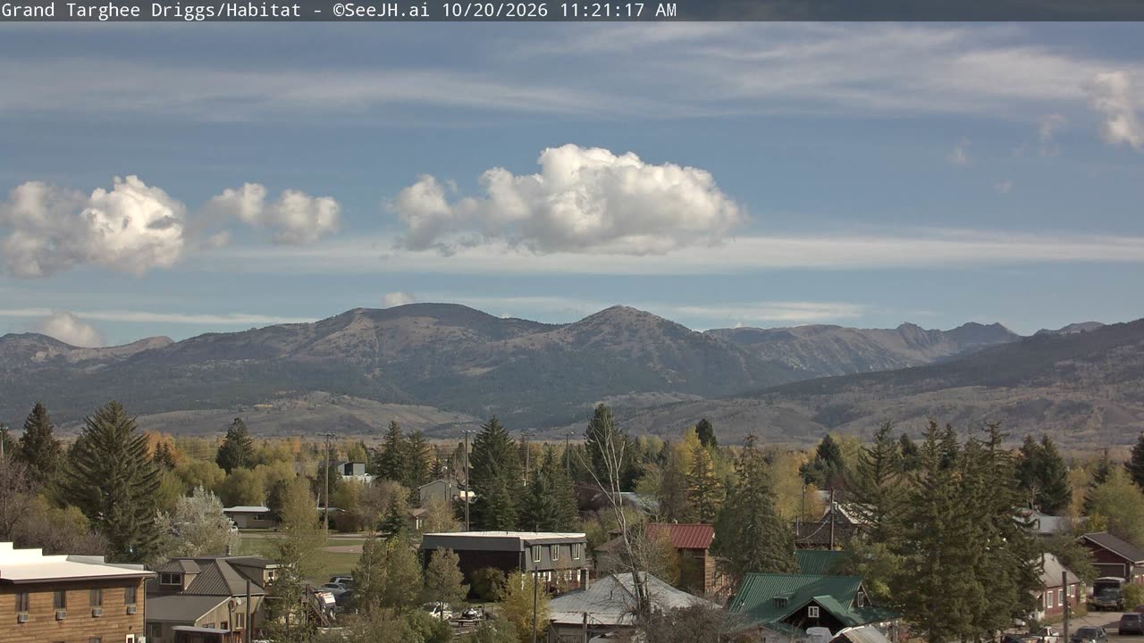 Habitat / Colter still, 0″ new snow in 24 h