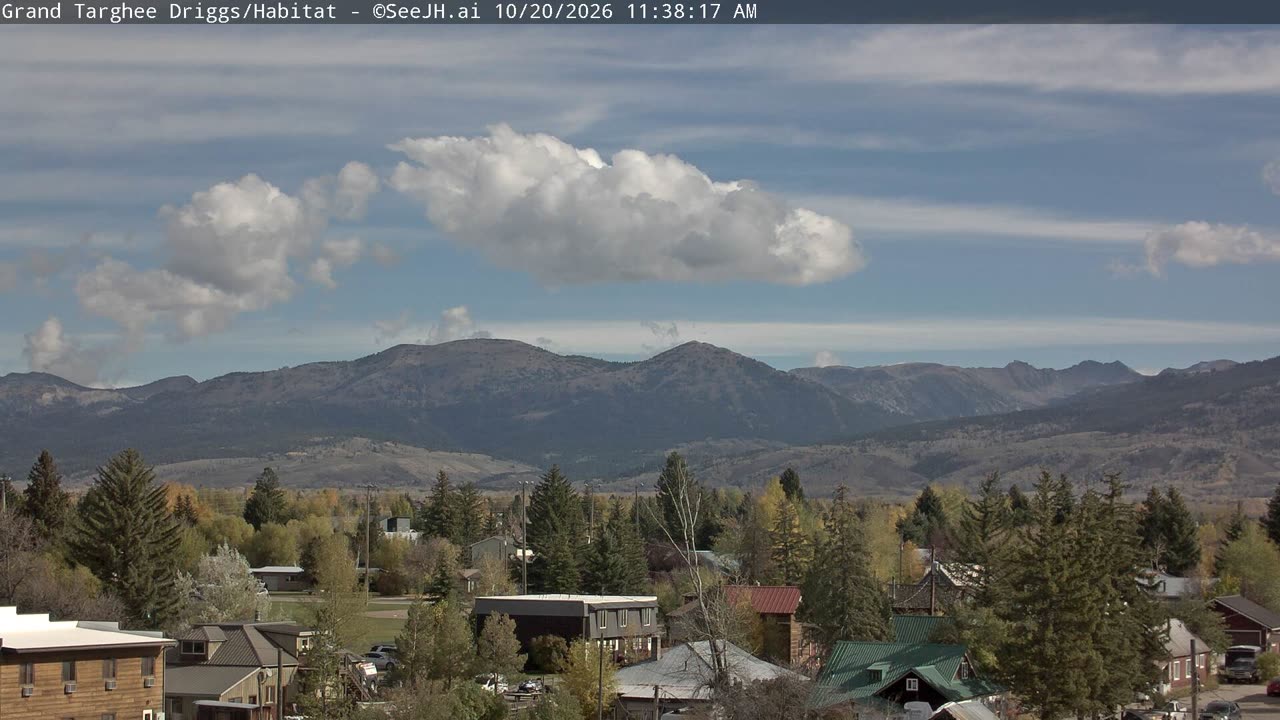 Habitat / Colter still, 0″ new snow in 24 h