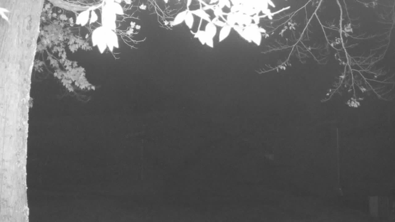 Mid Mountain still, 0″ new snow in 24 h