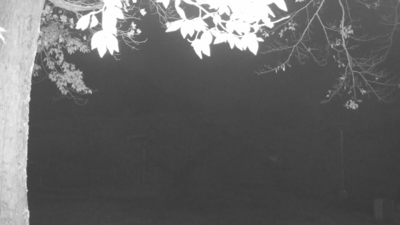 Mid Mountain still, 0″ new snow in 24 h