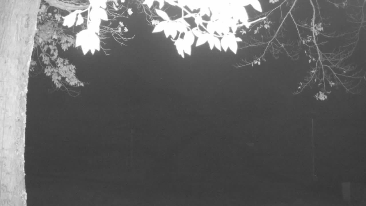 Mid Mountain still, 0″ new snow in 24 h