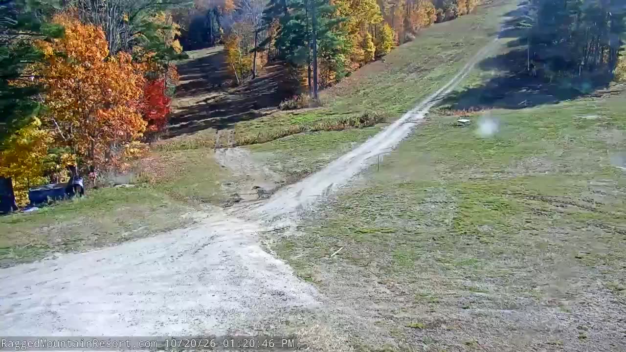Elmwood Lodge Cam still, 0″ new snow in 24 h