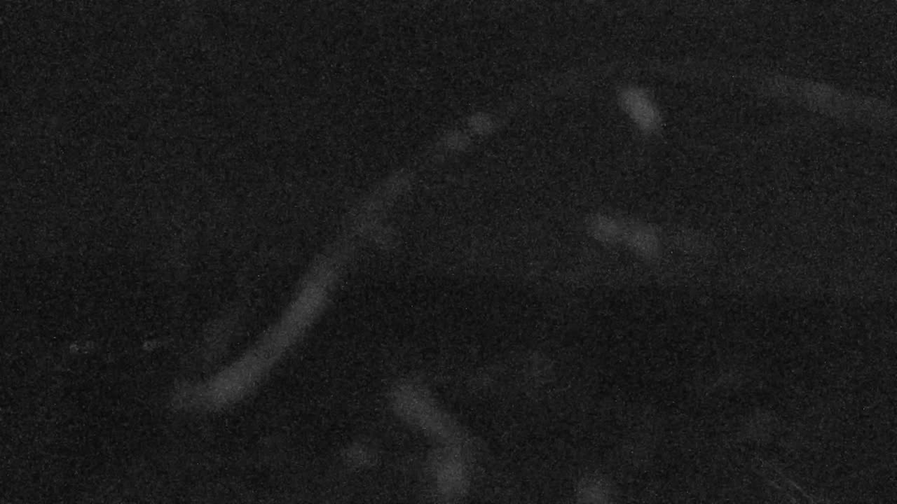 Pico Mountain Horizon Cam still, 0″ new snow in 24 h