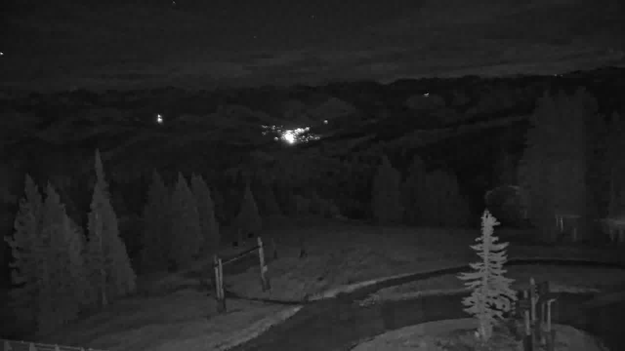 Spruce Saddle still, 0″ new snow in 24 h