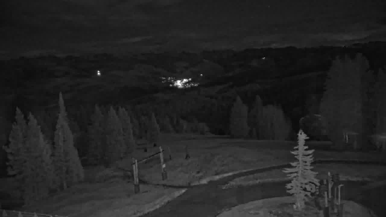 Spruce Saddle still, 0″ new snow in 24 h