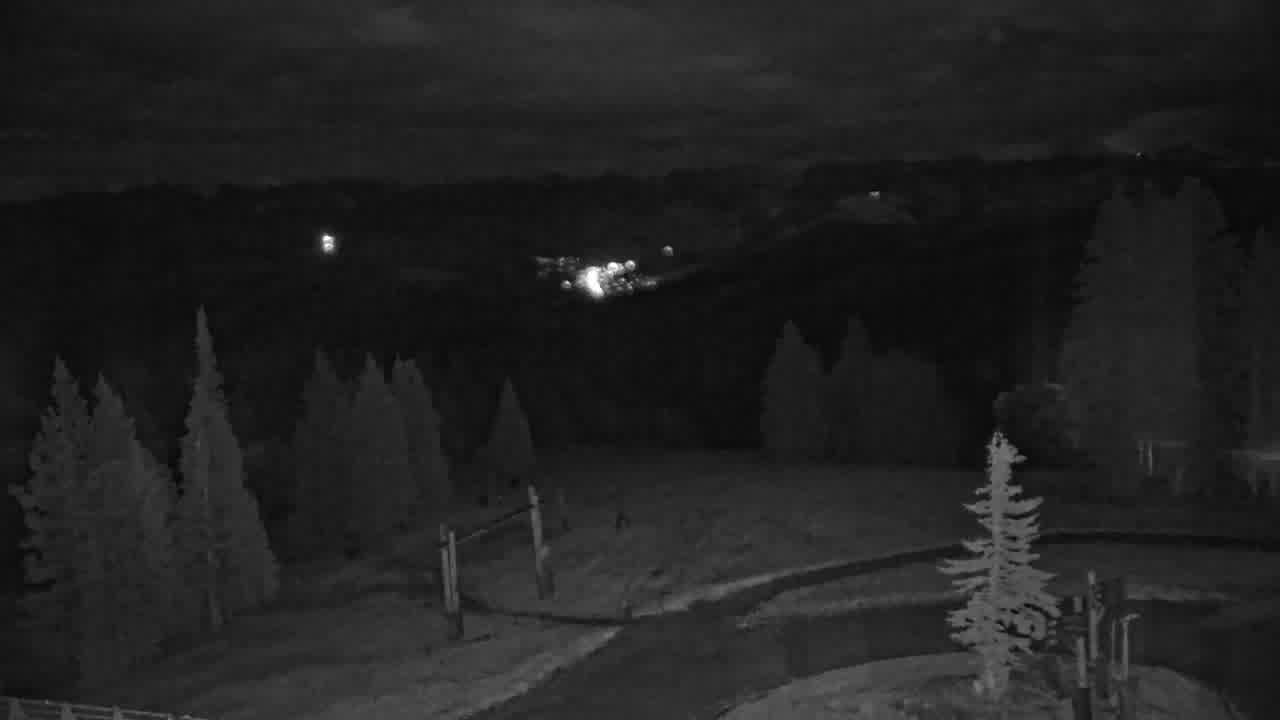 Spruce Saddle still, 0″ new snow in 24 h