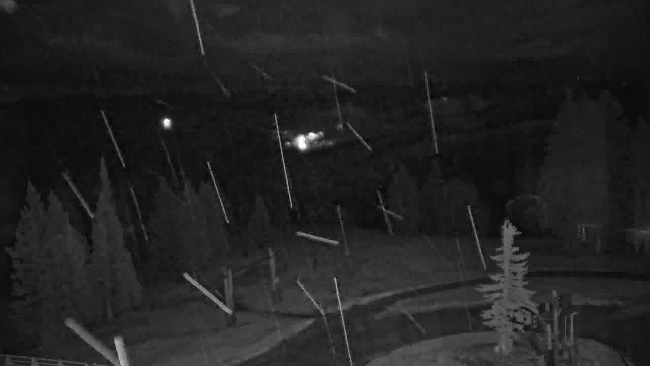 Spruce Saddle still, 0″ new snow in 24 h