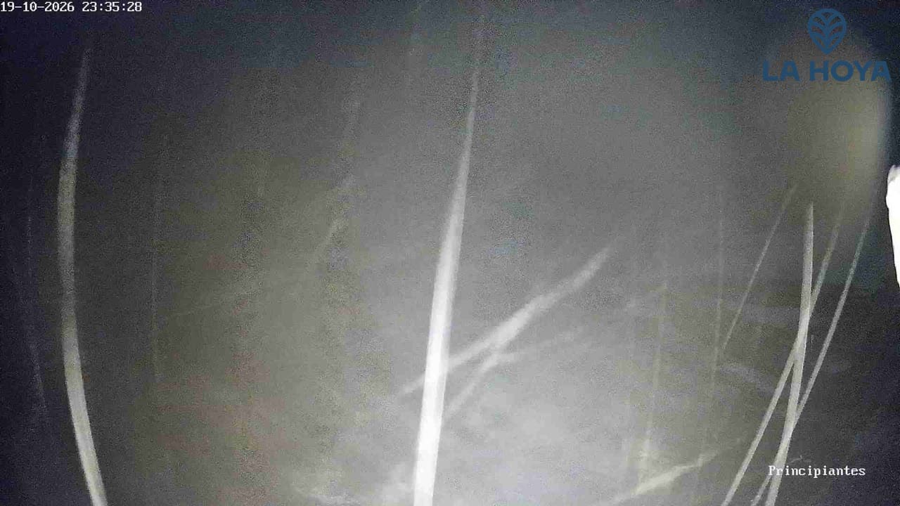 Principiantes / Plano Base 1600 still, 0″ new snow in 24 h
