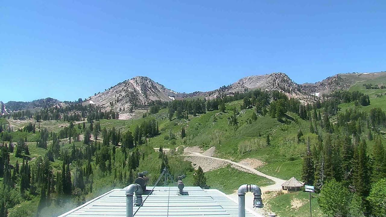 Needles still, 0″ new snow in 24 h