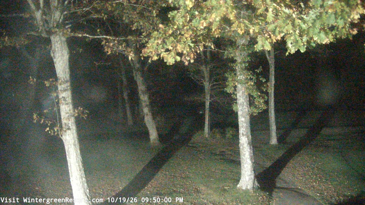 Devils Knob Golf still, 0″ new snow in 24 h