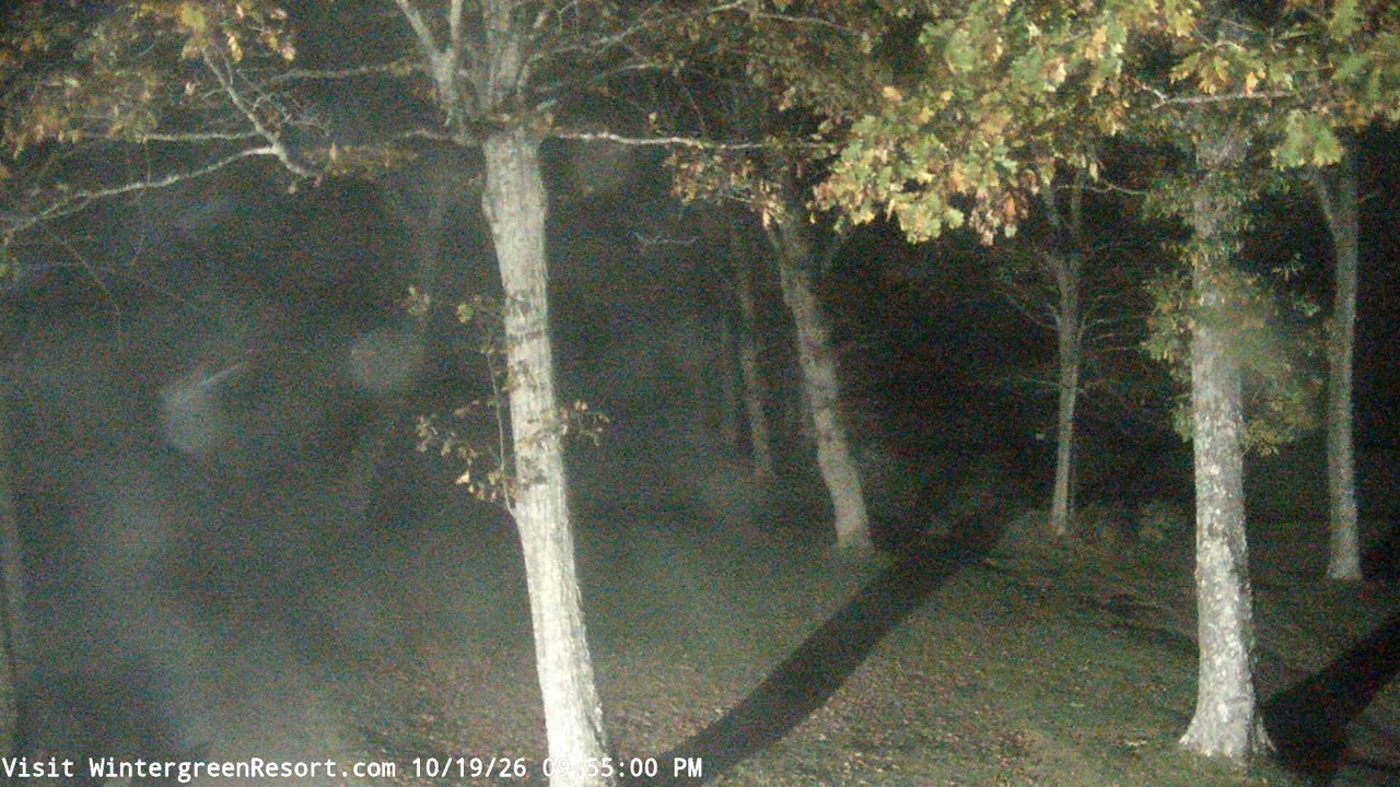Devils Knob Golf still, 0″ new snow in 24 h