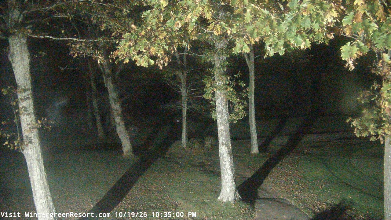 Devils Knob Golf still, 0″ new snow in 24 h