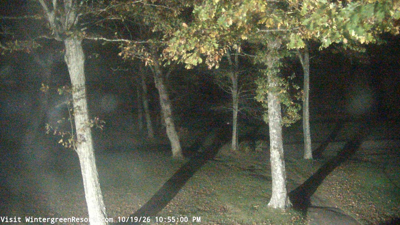 Devils Knob Golf still, 0″ new snow in 24 h