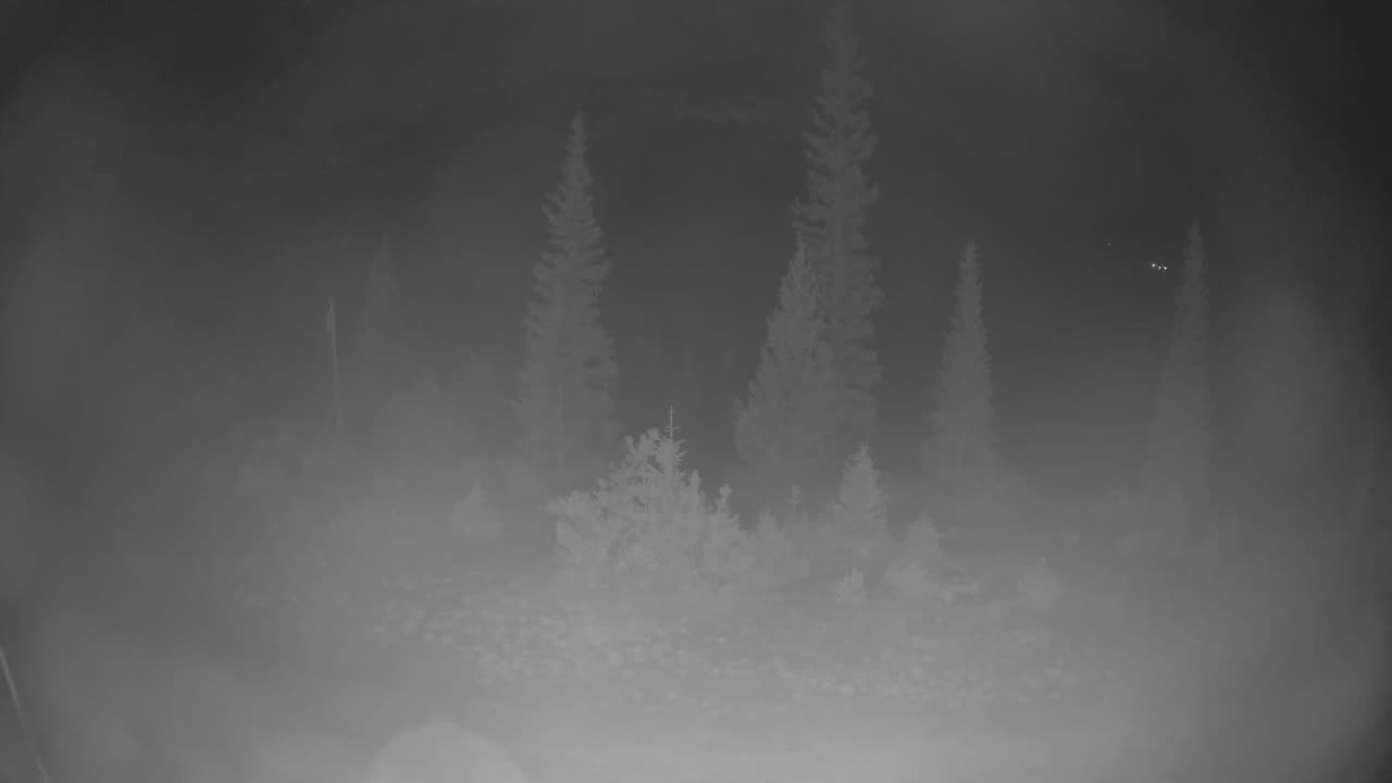 Peak 8 from Peak 9 still, 0″ new snow in 24 h