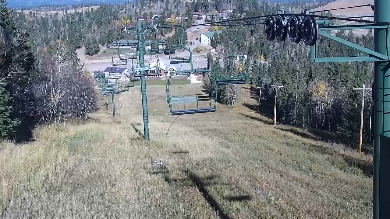 Stewart Slope from the Stewart Lodge Cam still, 0″ new snow in 24 h