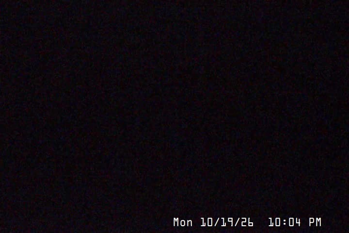 Palmer still, 0″ new snow in 24 h