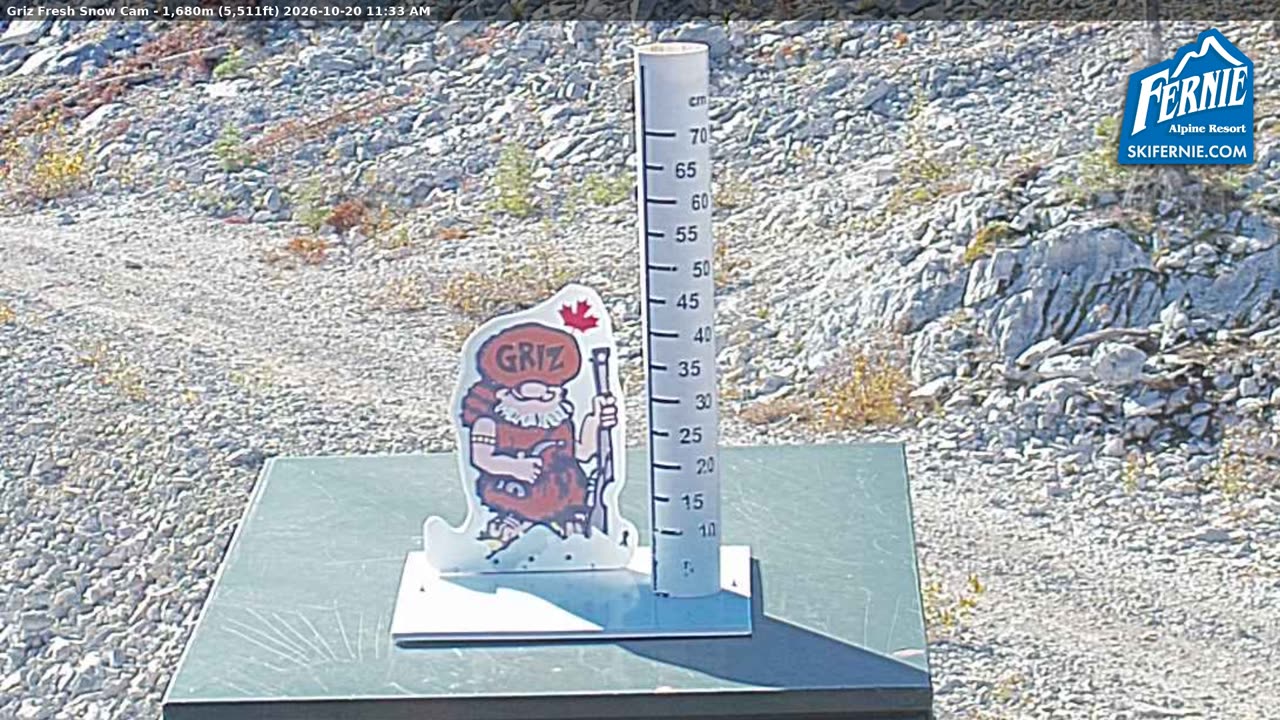 Static Griz Cam still, 0″ new snow in 24 h
