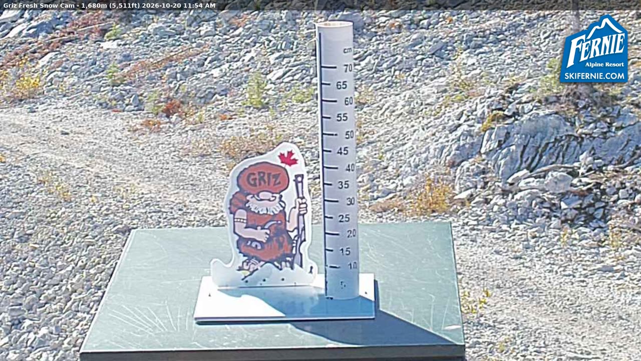 Static Griz Cam still, 0″ new snow in 24 h