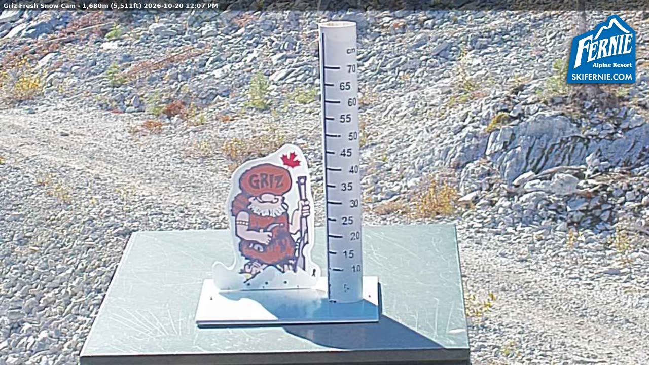 Static Griz Cam still, 0″ new snow in 24 h