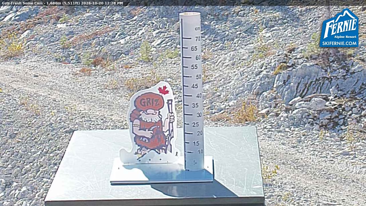 Static Griz Cam still, 0″ new snow in 24 h