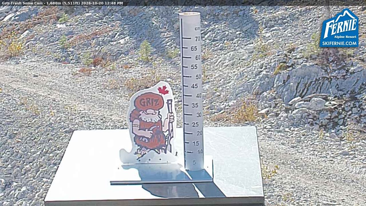Static Griz Cam still, 0″ new snow in 24 h