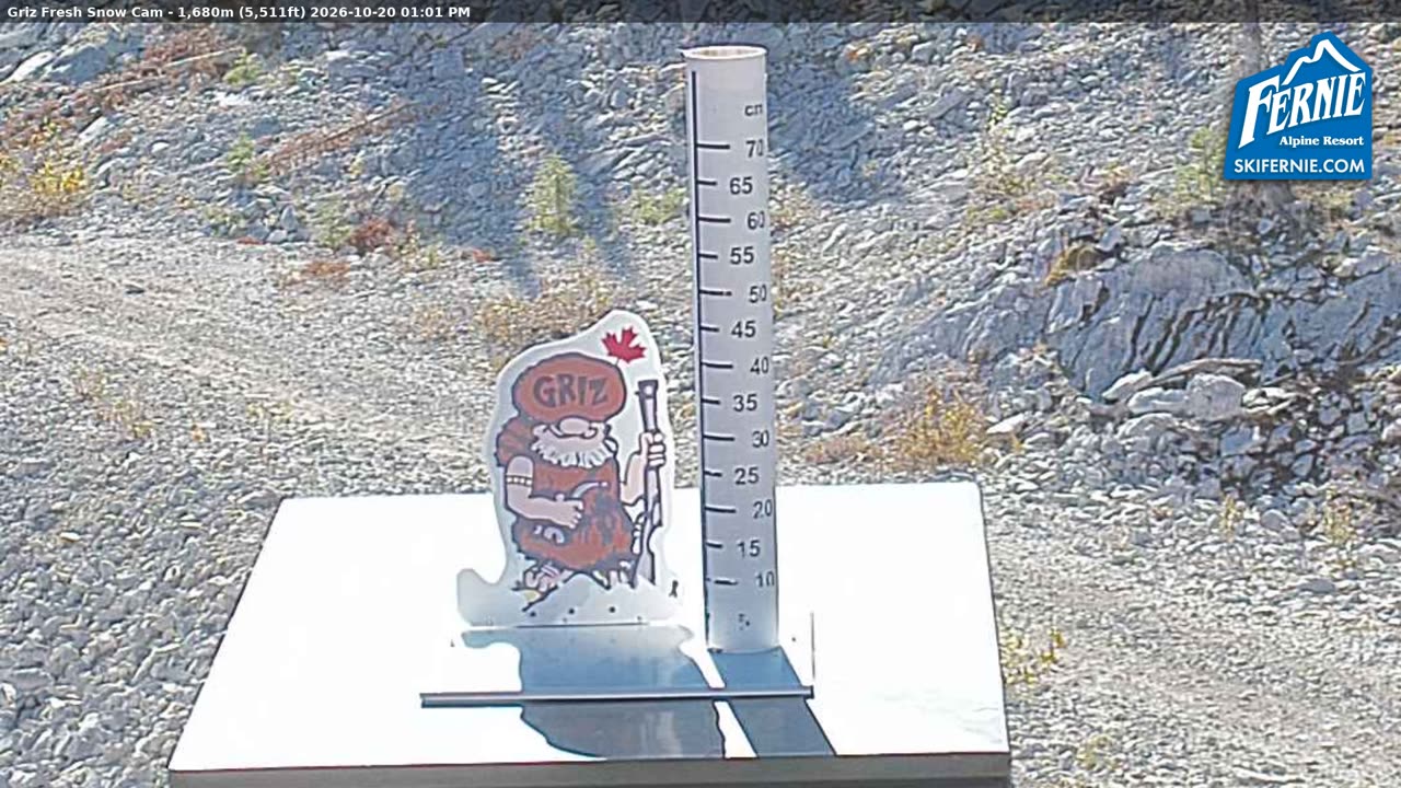 Static Griz Cam still, 0″ new snow in 24 h