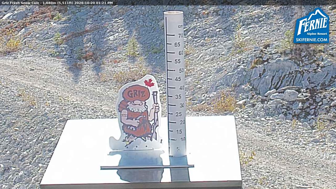 Static Griz Cam still, 0″ new snow in 24 h