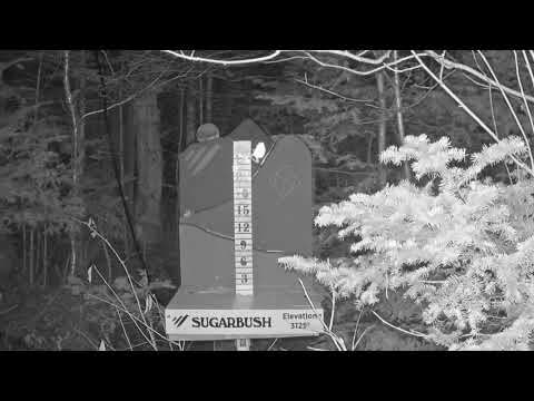 Snow Stake still, 0″ new snow in 24 h