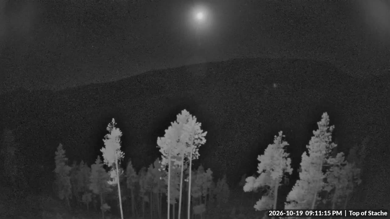 Top of Stache webcam at Red Lodge Mountain