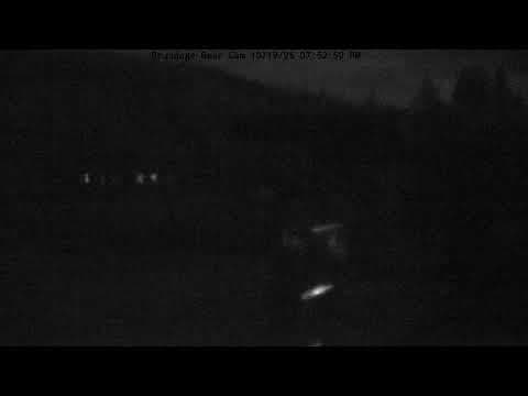 Bear Cam webcam at Brundage Mountain Resort, 6,490′